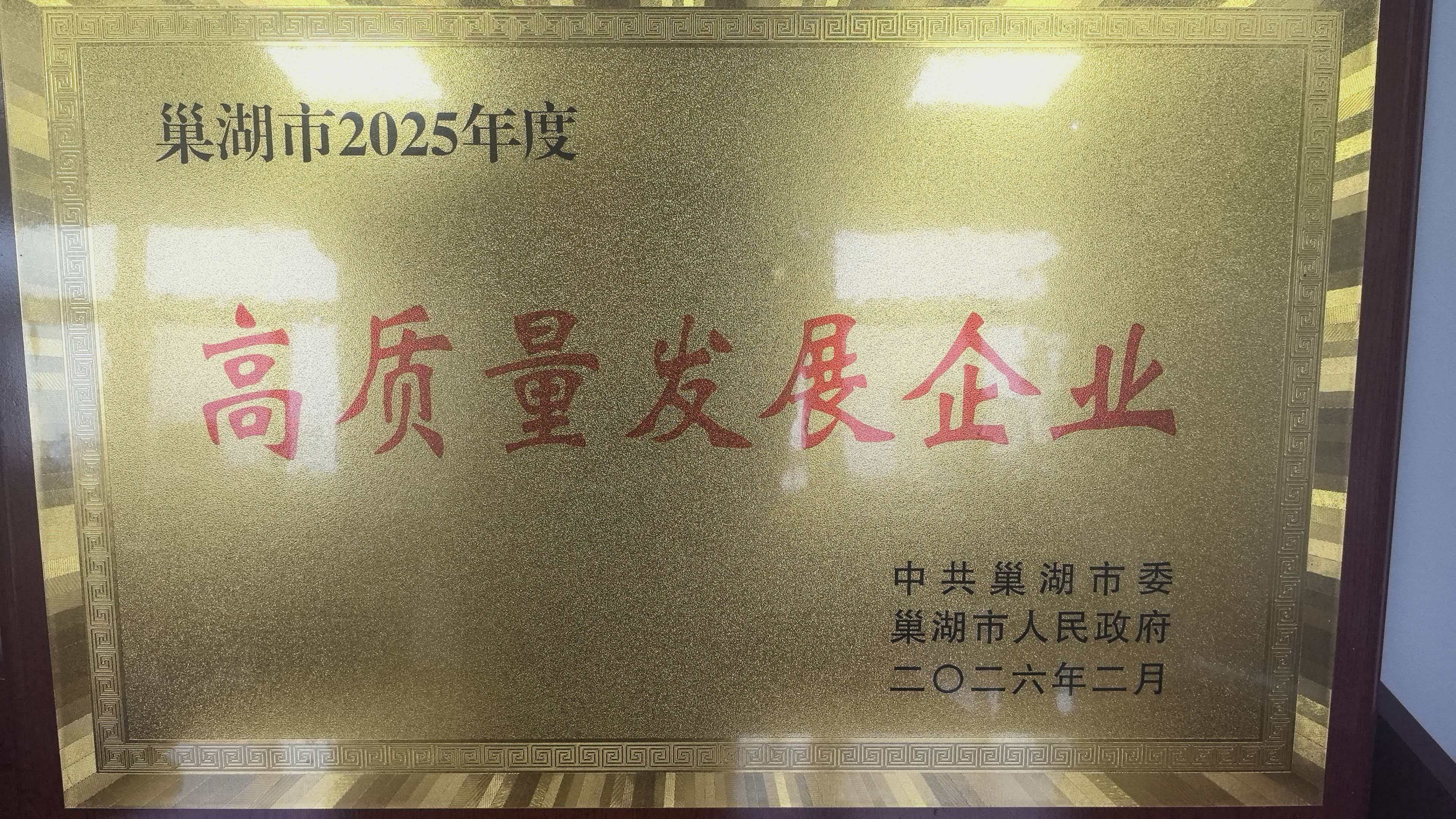 關于我司榮獲巢湖市2025年度高質量發展企業
